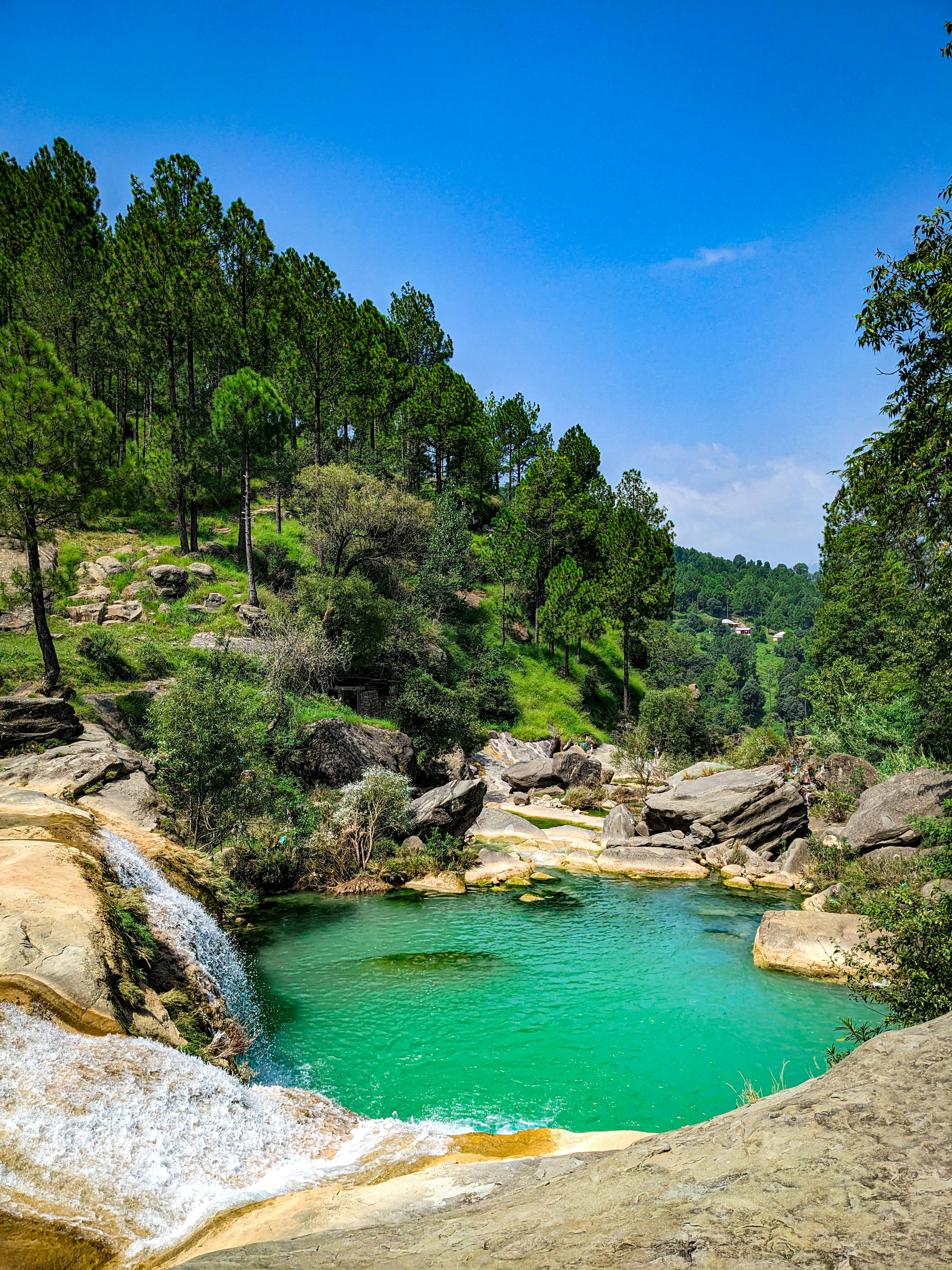 A turquoise pool beneath a small waterfall, surrounded by pine forest